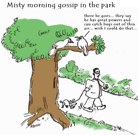 DBG_Gossipinthepark from Narasimha Vedala (click to enlarge)