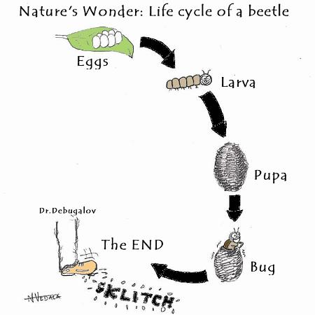 DBG_LifeCycleOfBug from Narasimha Vedala (click to enlarge)