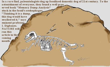 DBG_PaleoFinds from Narasimha Vedala (click to enlarge)